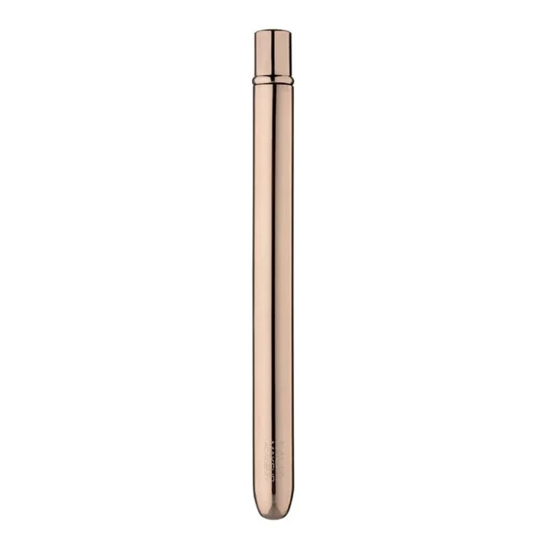 mua-lip-brush-1