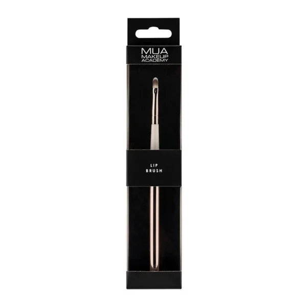 mua-lip-brush-2