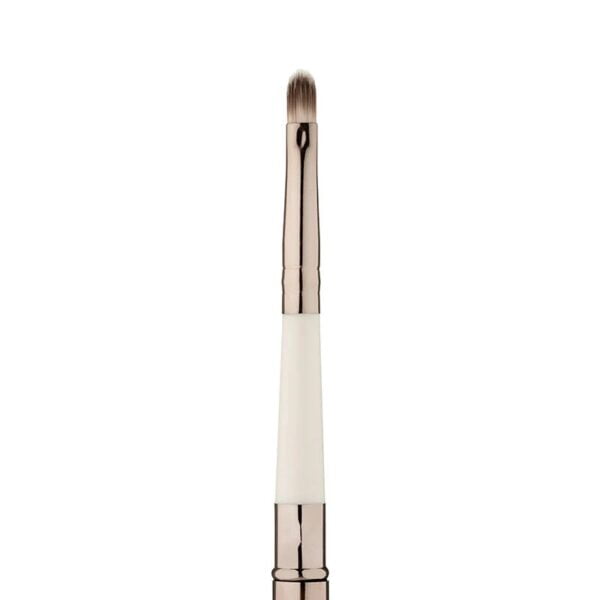 mua-lip-brush